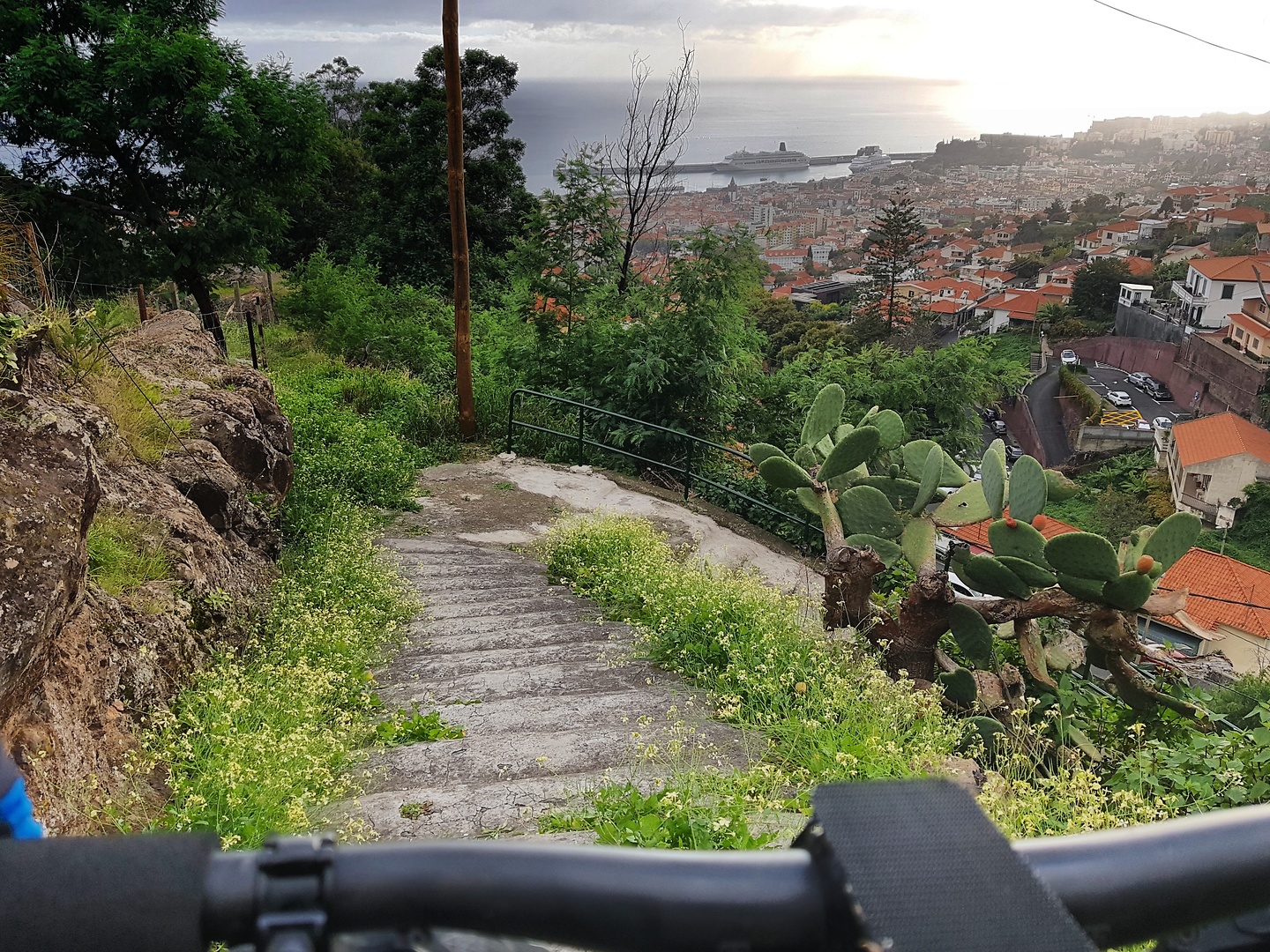 funchal-trail.jpg