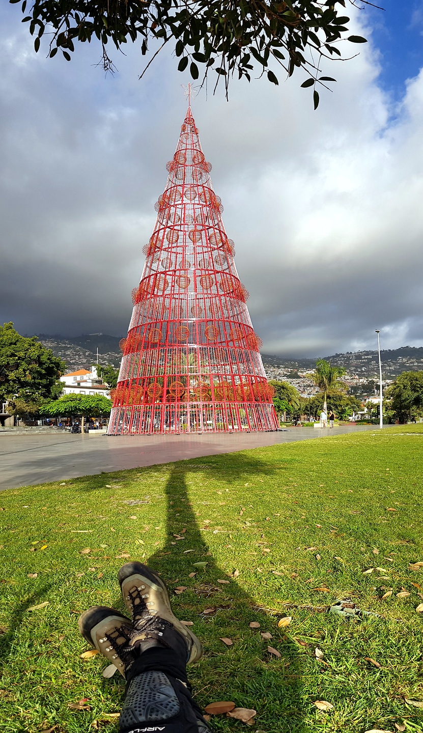 funchal-xmasgrass.jpg