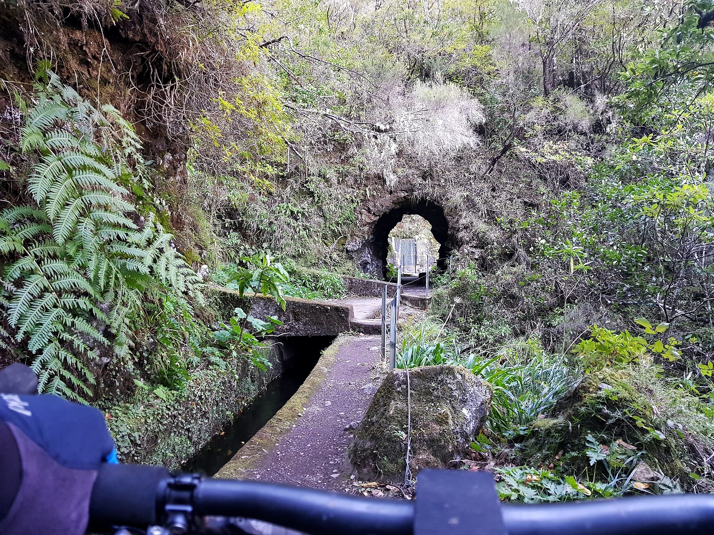 levadanorte-trail3.jpg