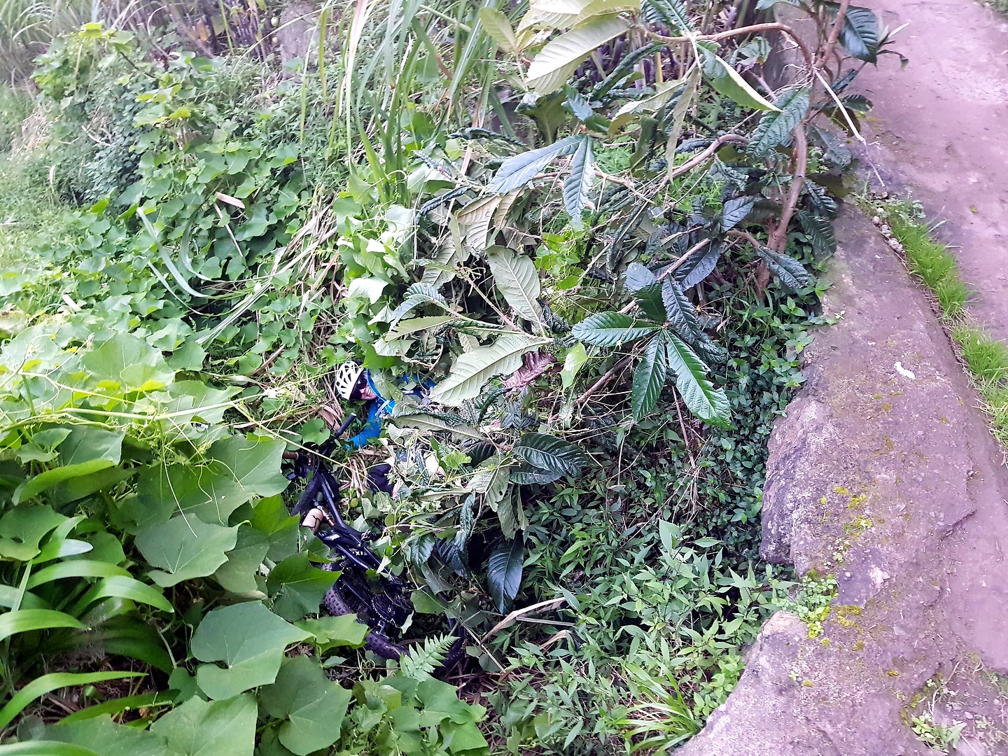 machico-levadacanical8.jpg