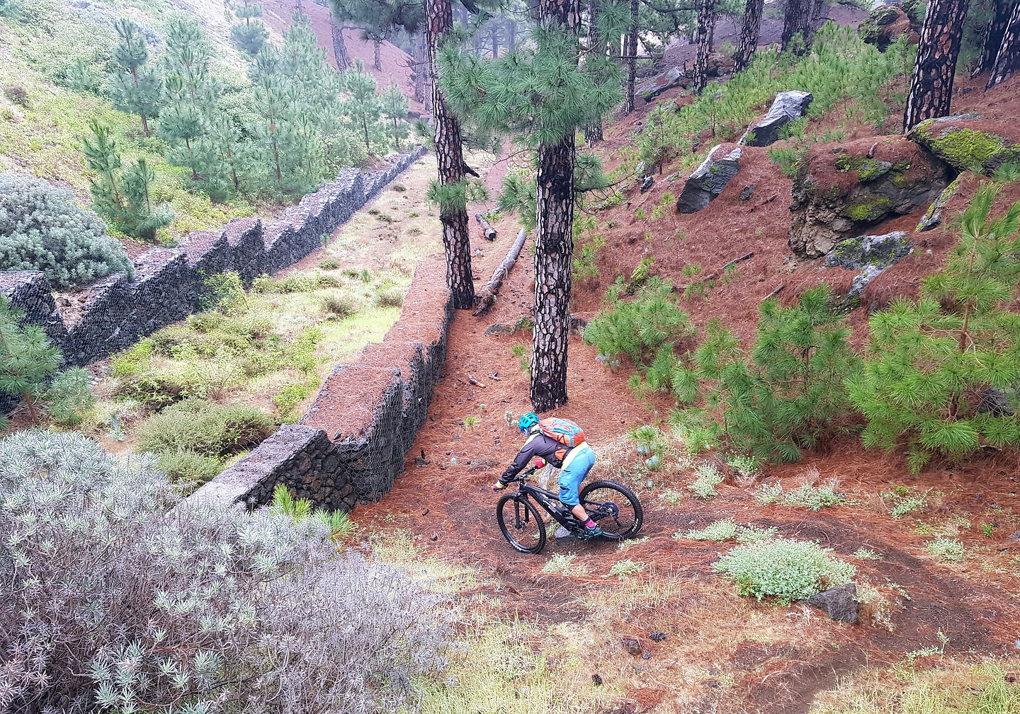morcillo-trailbuild1.jpg