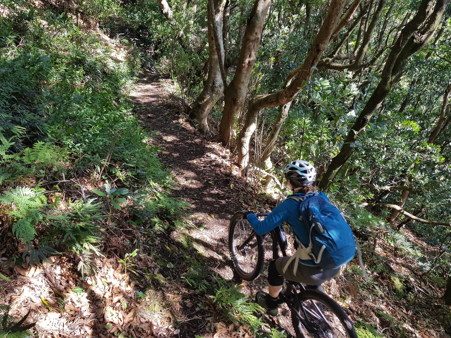 portela-kettletrail1.jpg