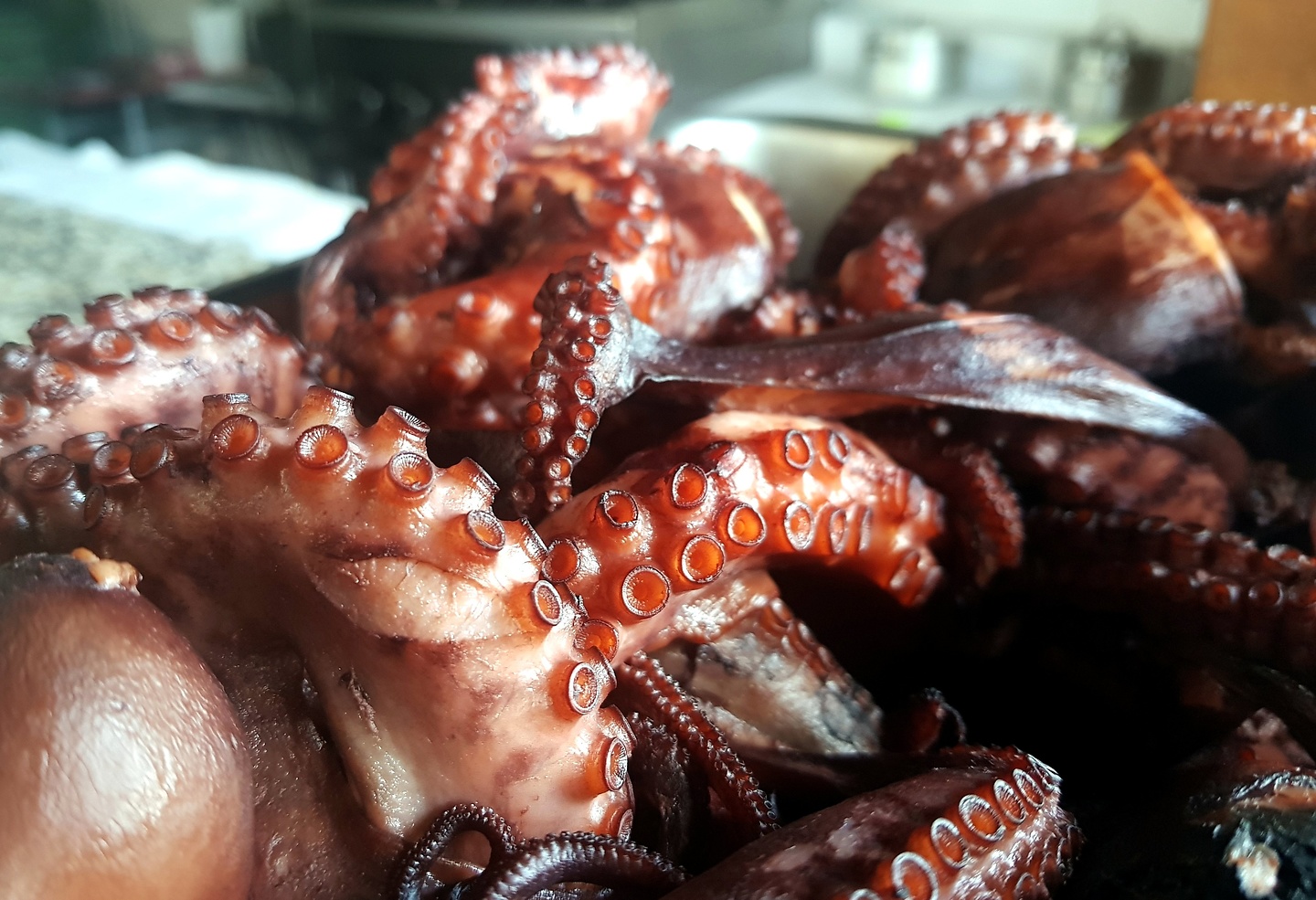 portocruz-squid.jpg