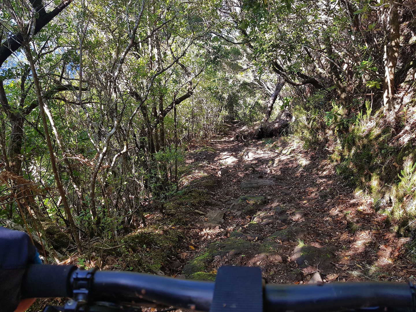 portocruz-trail0.jpg