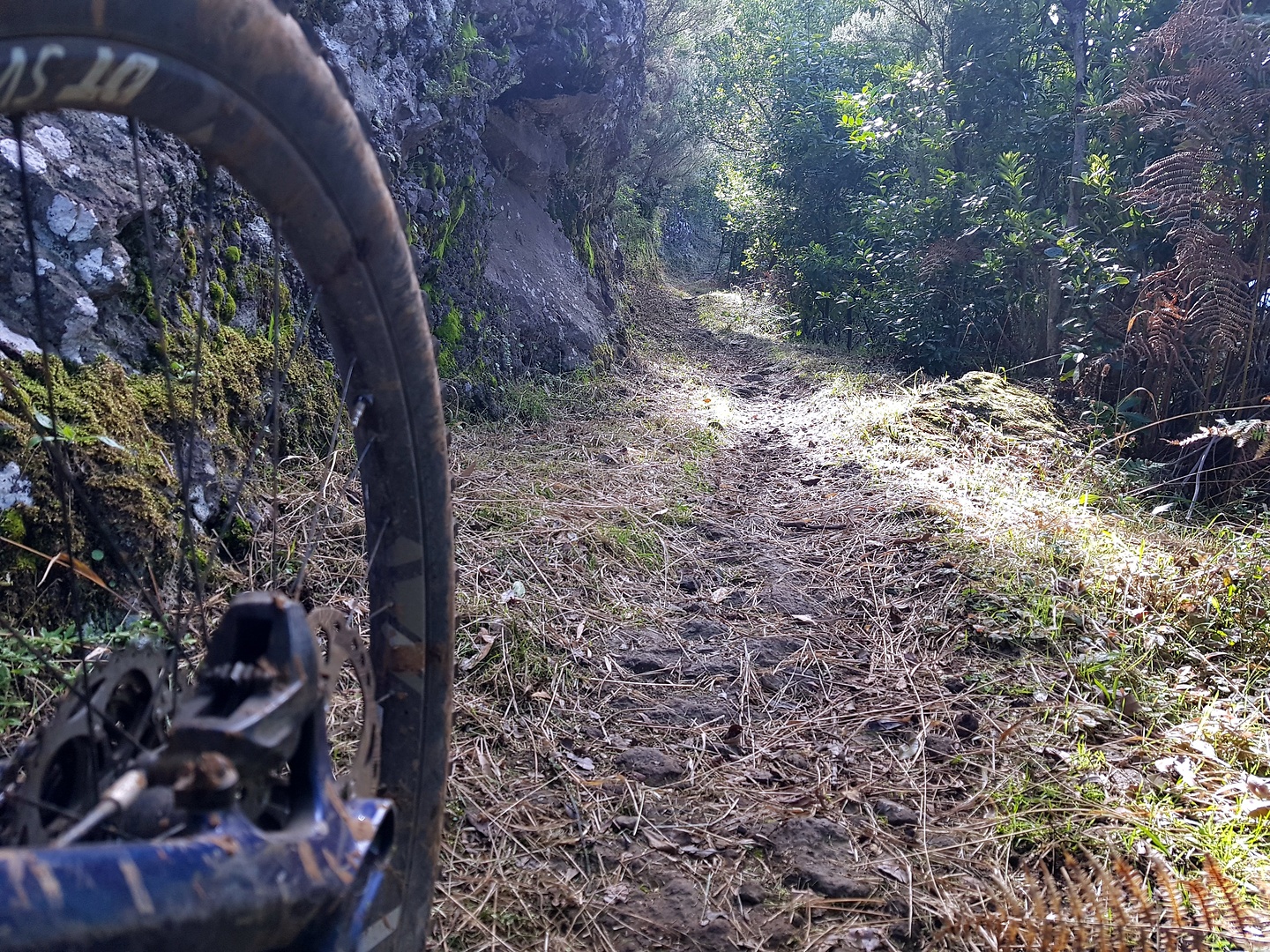 portocruz-trail3.jpg