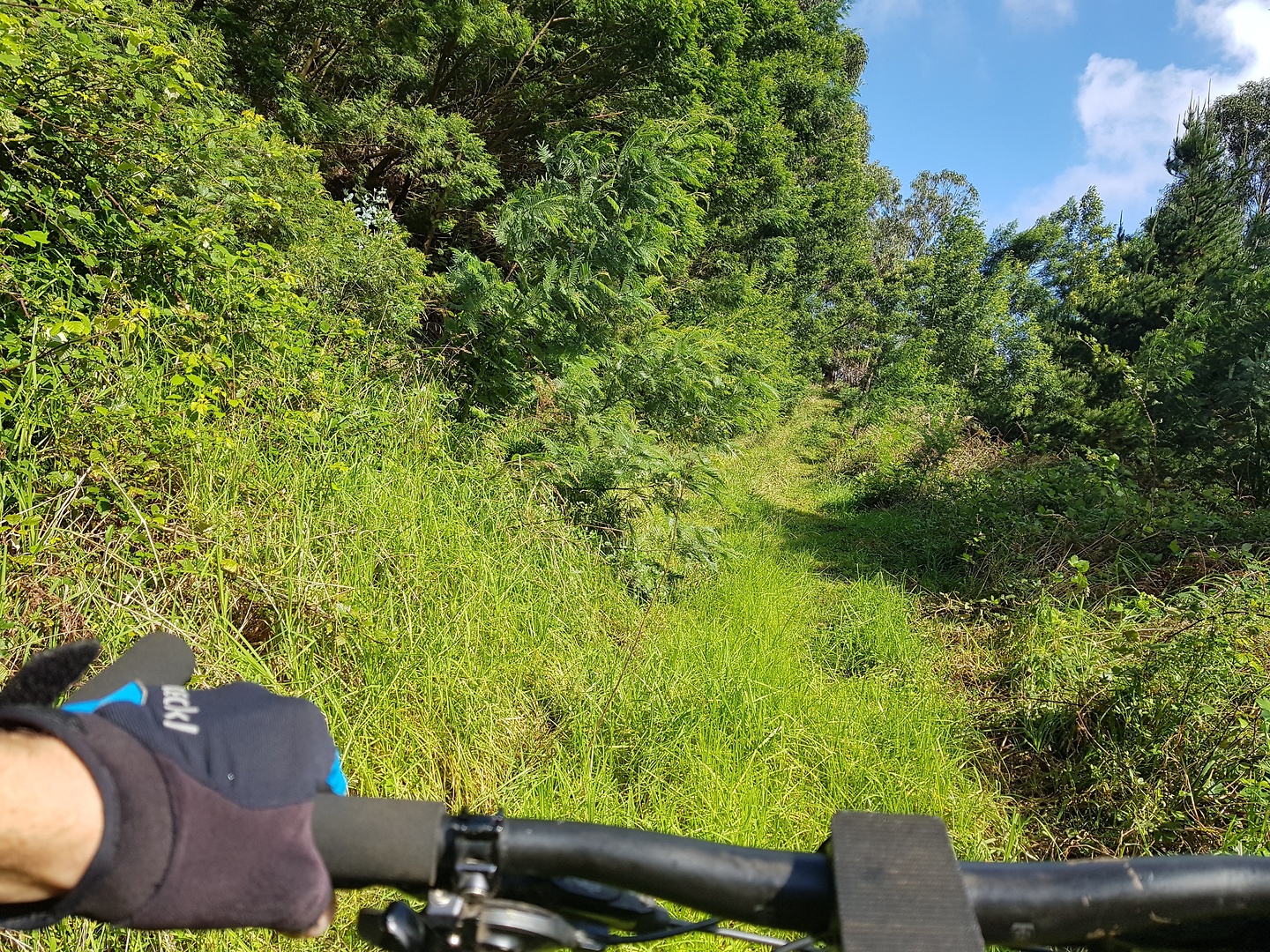 rocadas-uphill1.jpg