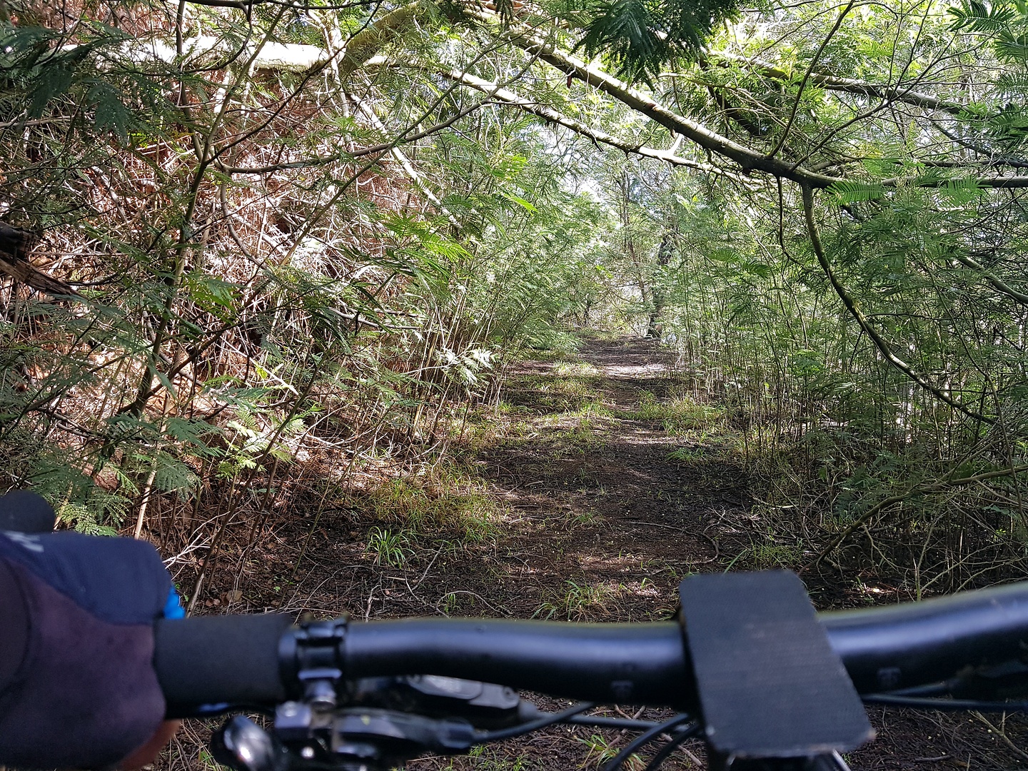 rocadas-uphill3.jpg