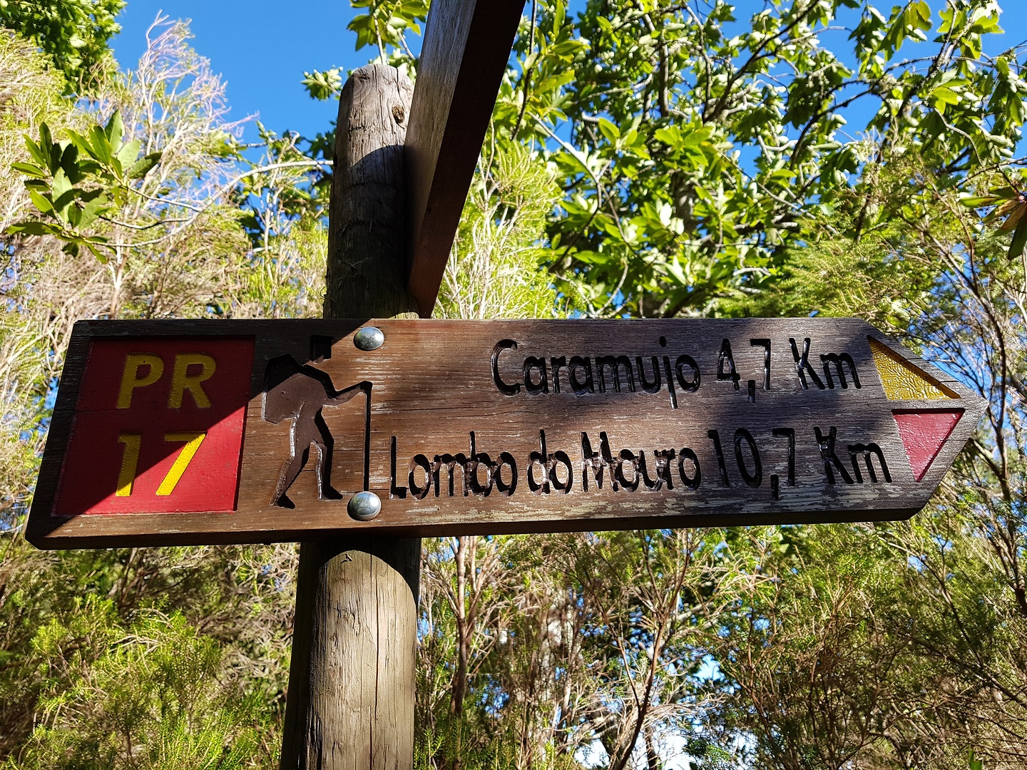 rosario-trail1.jpg