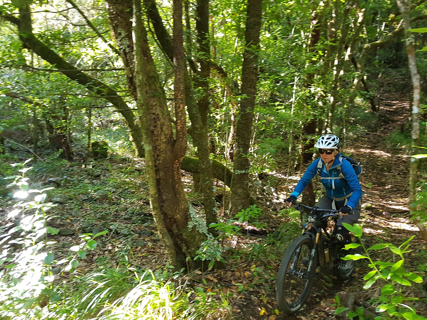 rosario-trail3.jpg