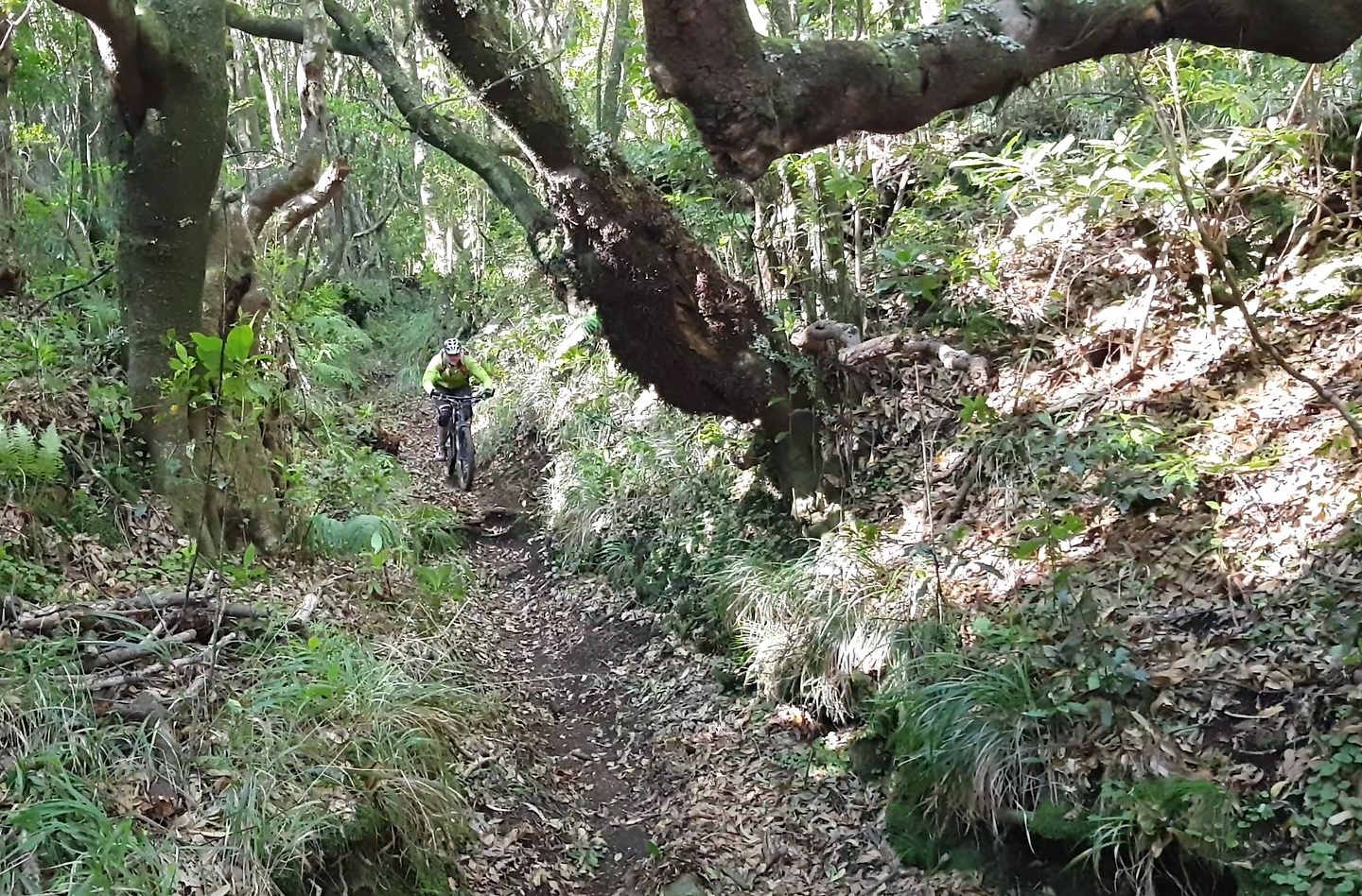 rosario-trail6.jpg