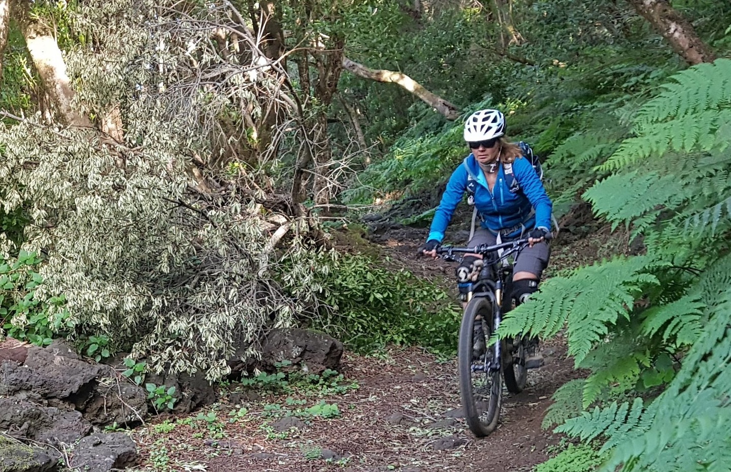 sansalvador-trail4.jpg