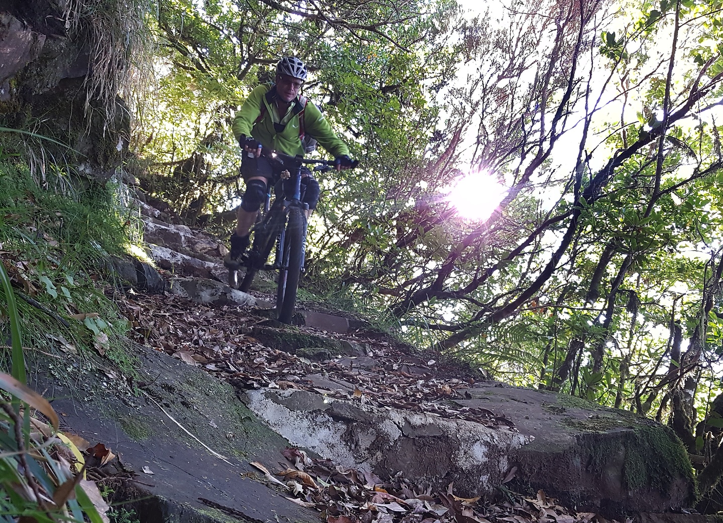 seixal-trail7.jpg