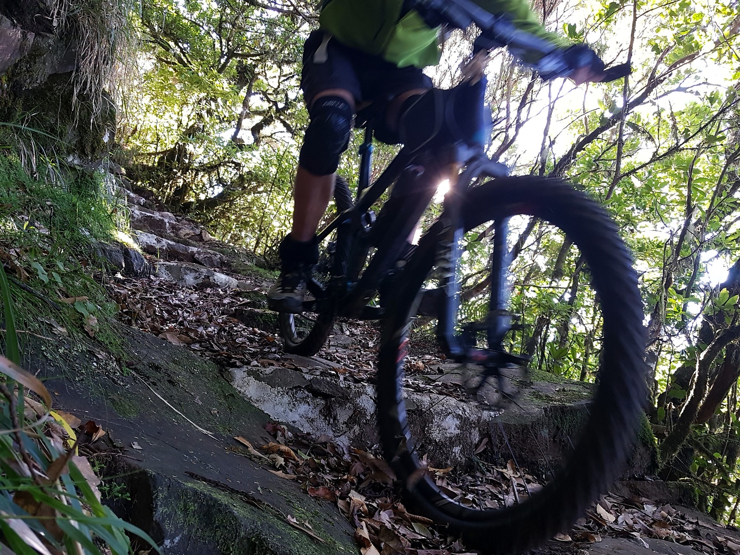 seixal-trail8.jpg