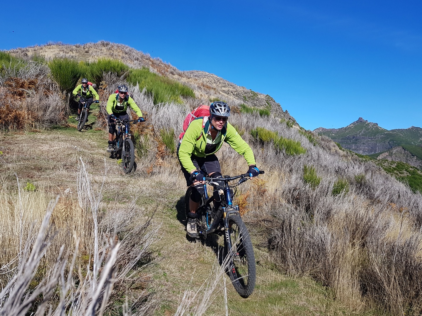 terreiros-trail5.jpg