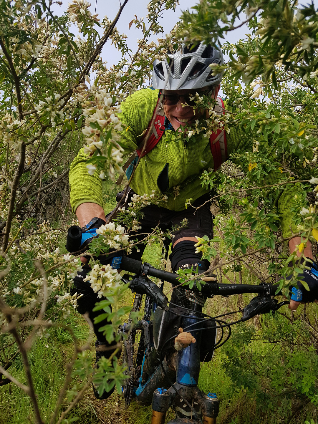 ventejis-trail3.jpg