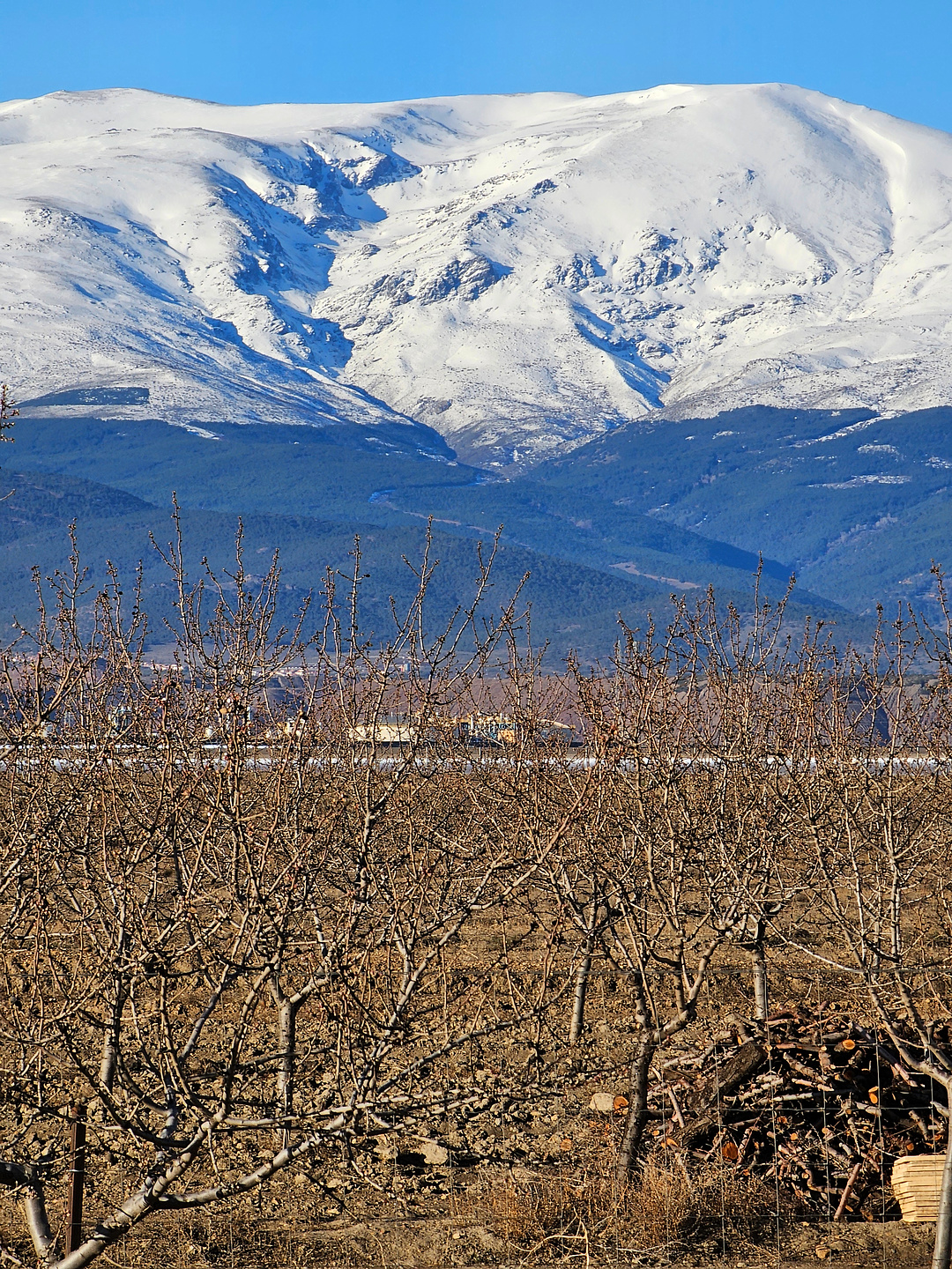 calahorra-sierra2.jpg