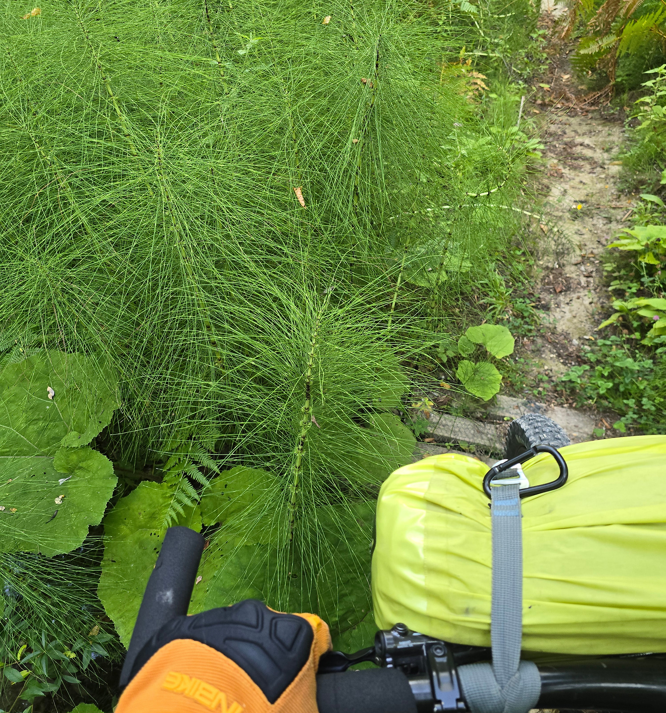 acquasanta-trail2.jpg