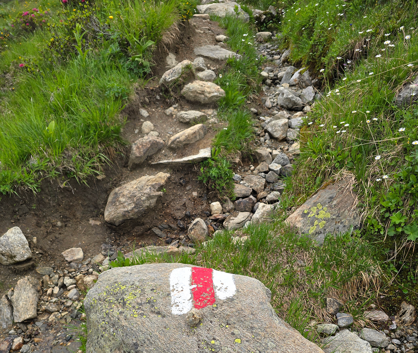 albrun-trail16.jpg