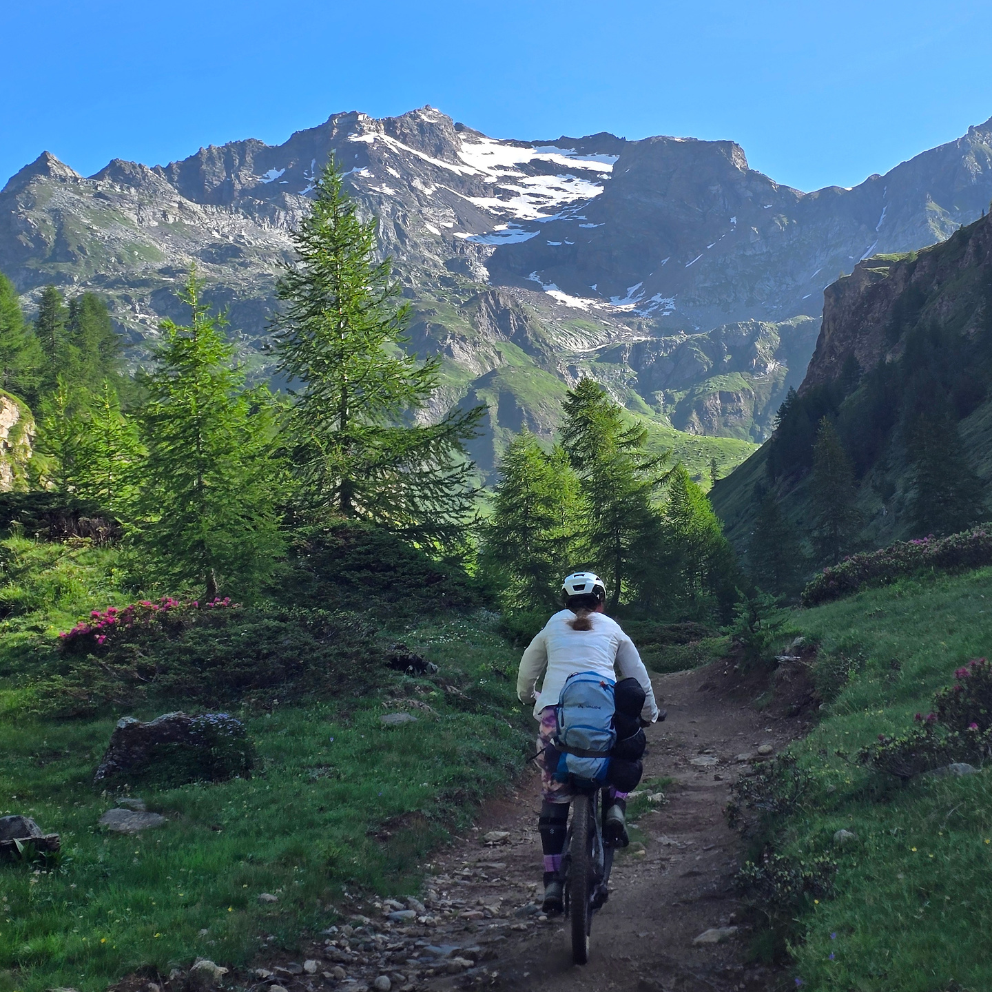 albrun-uphill4.jpg