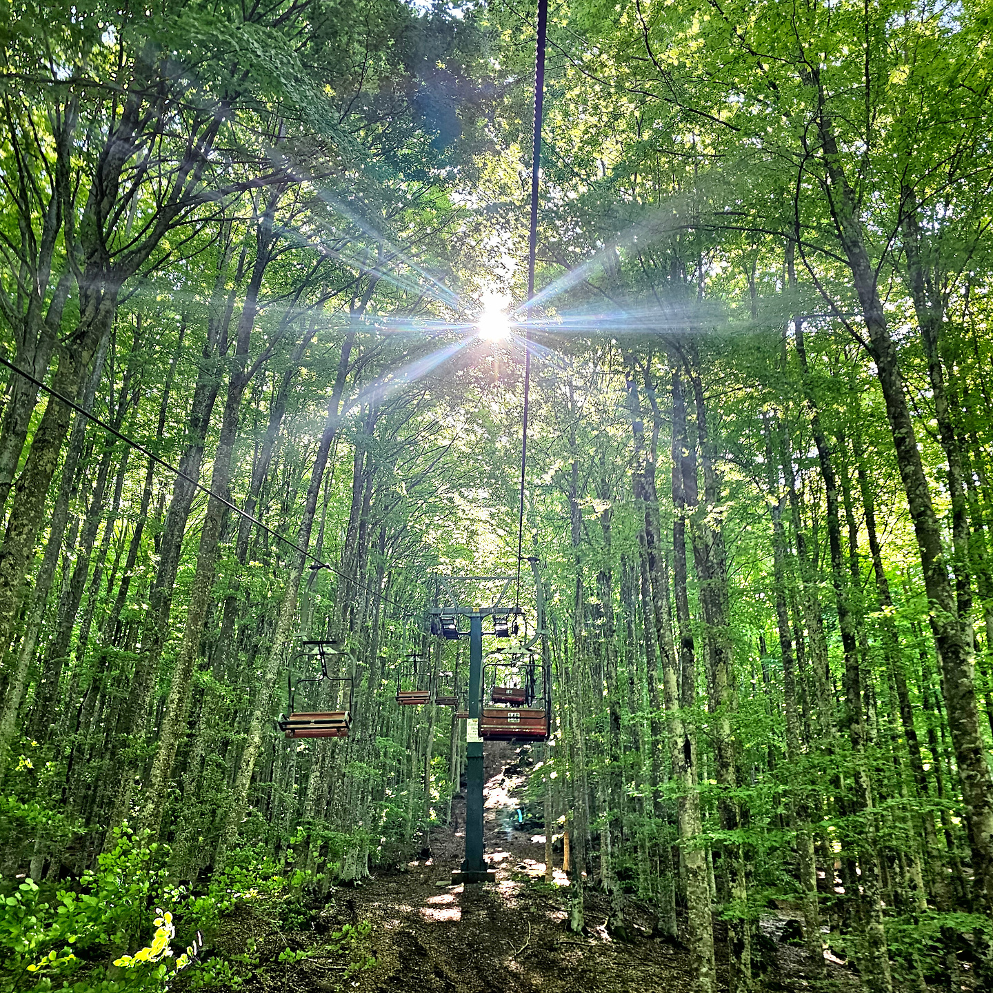 amiata-bikepark1.jpg