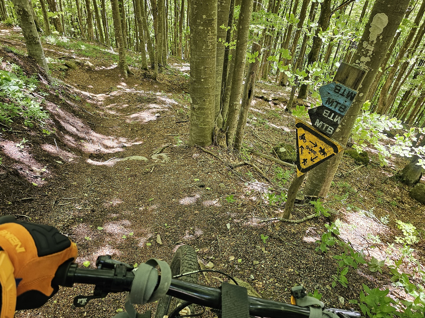 amiata-bikepark11.jpg
