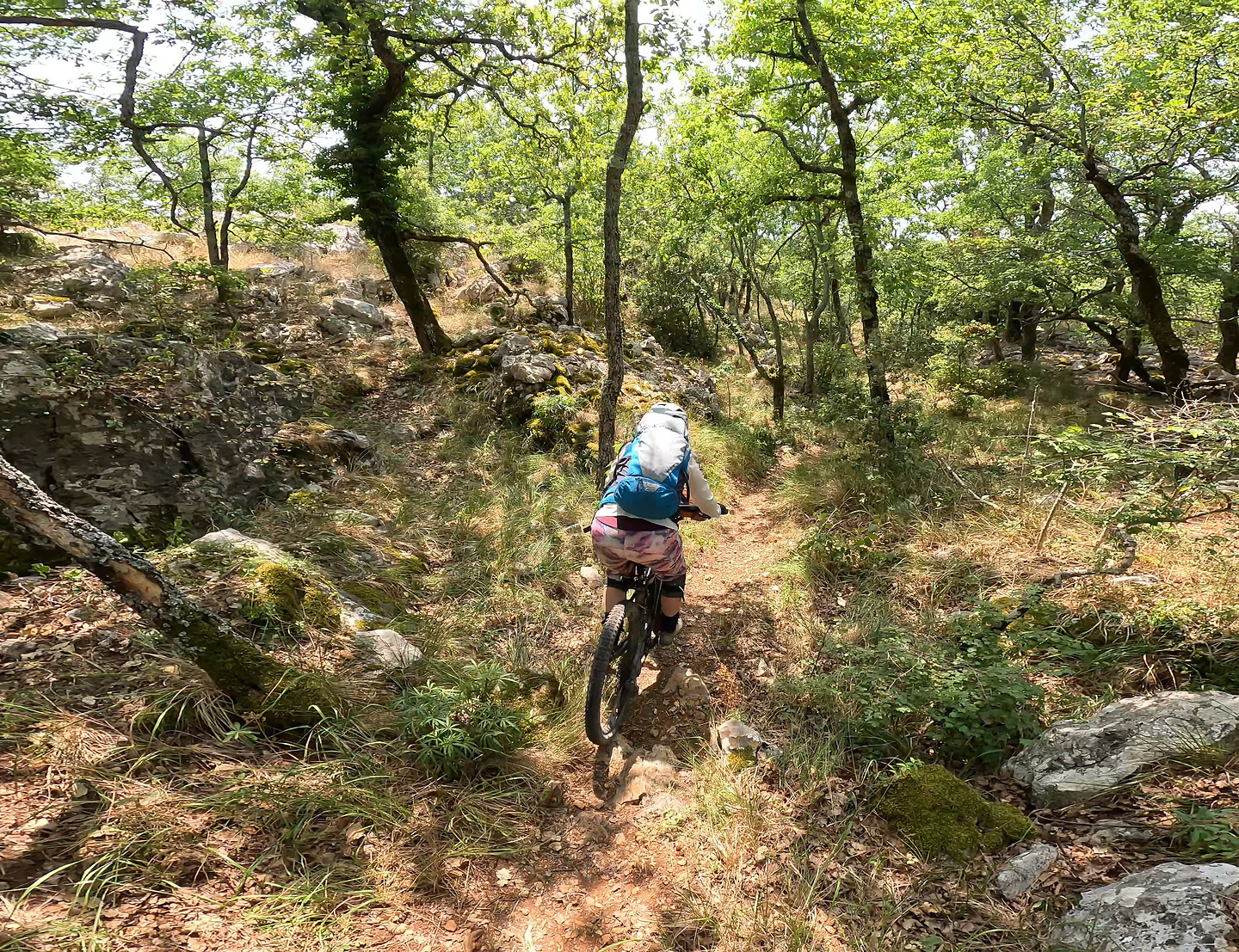 anou-trail3.jpg