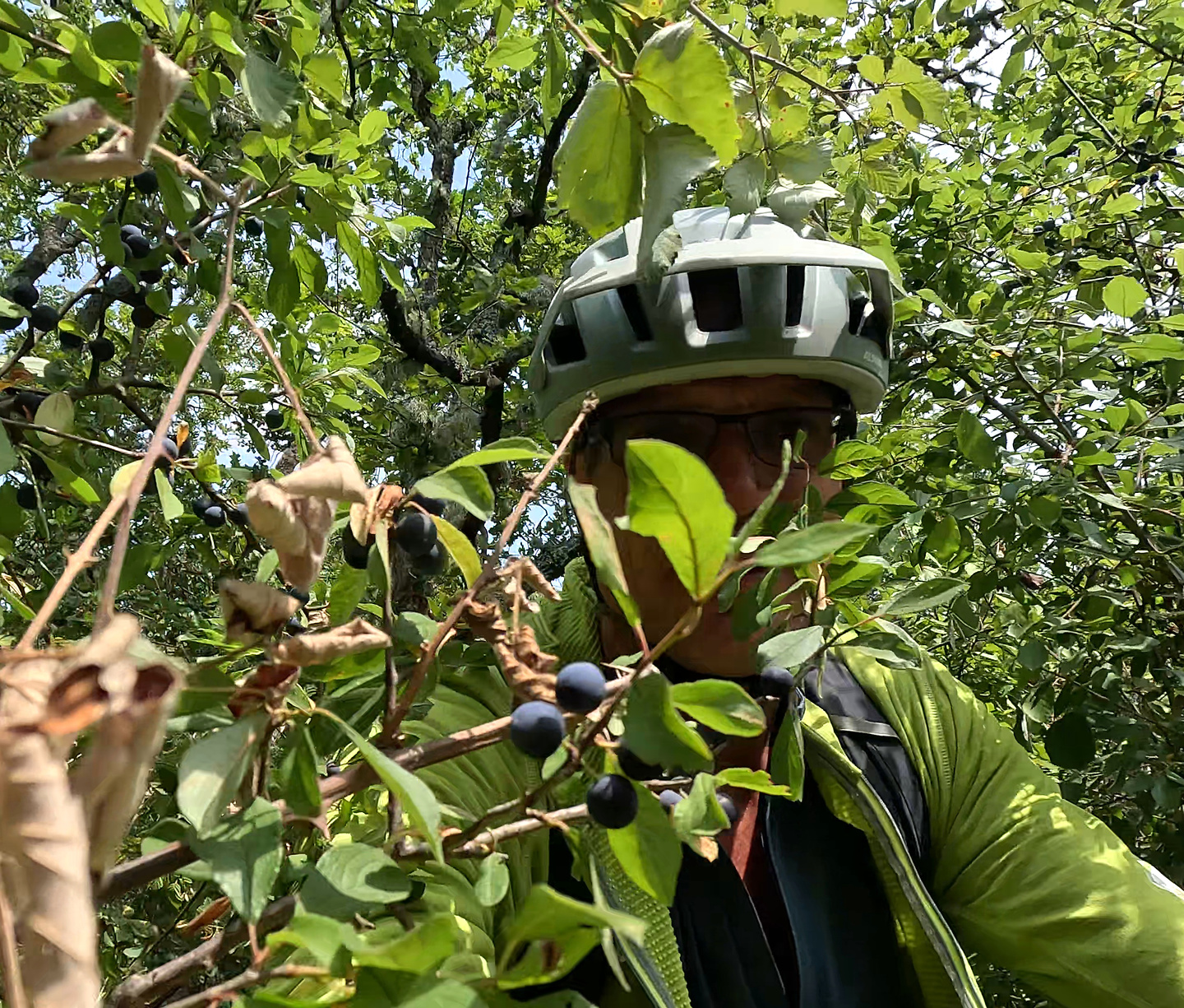 anou-trail6.jpg