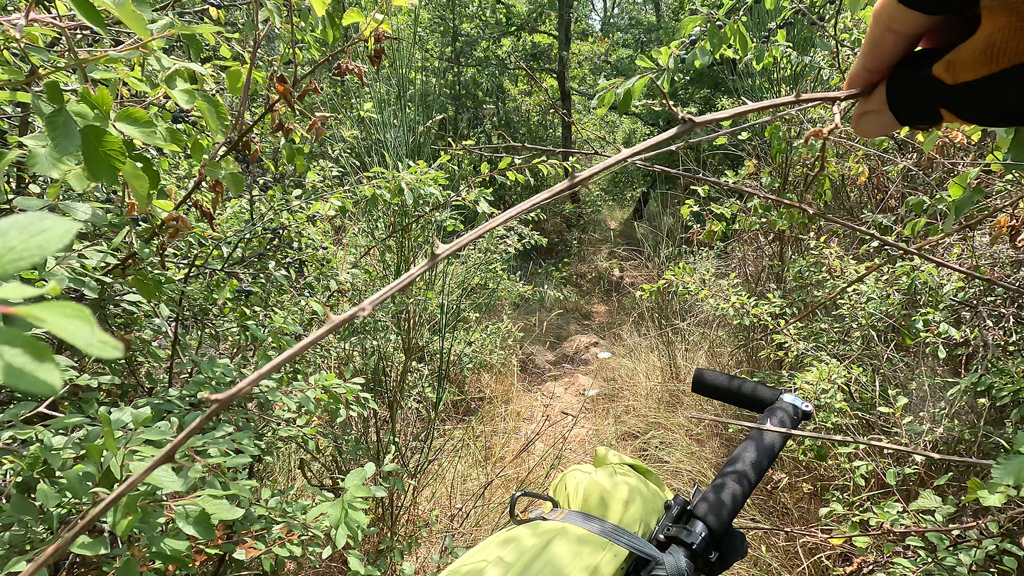 anou-trail7.jpg