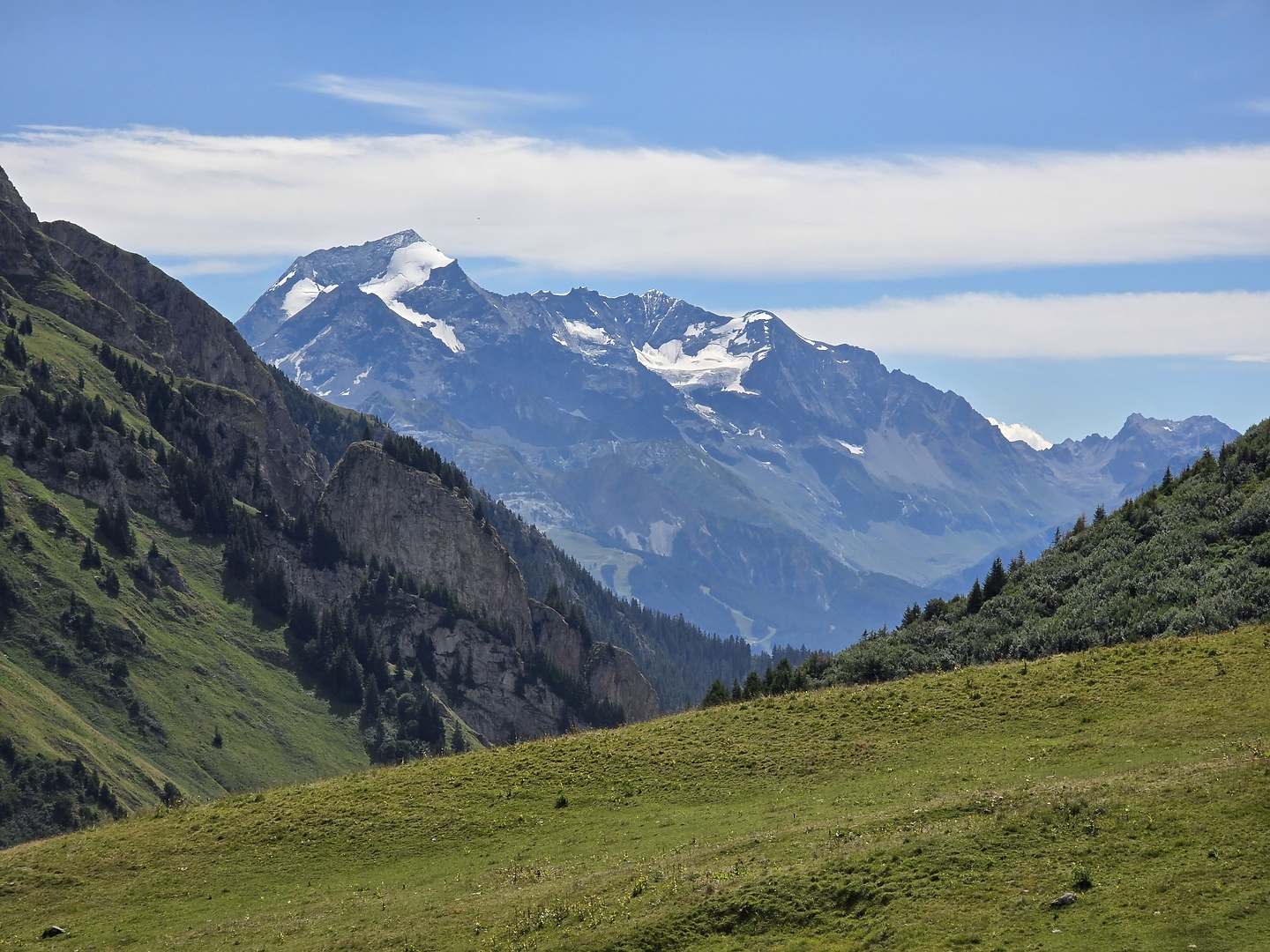 areche-col2.jpg