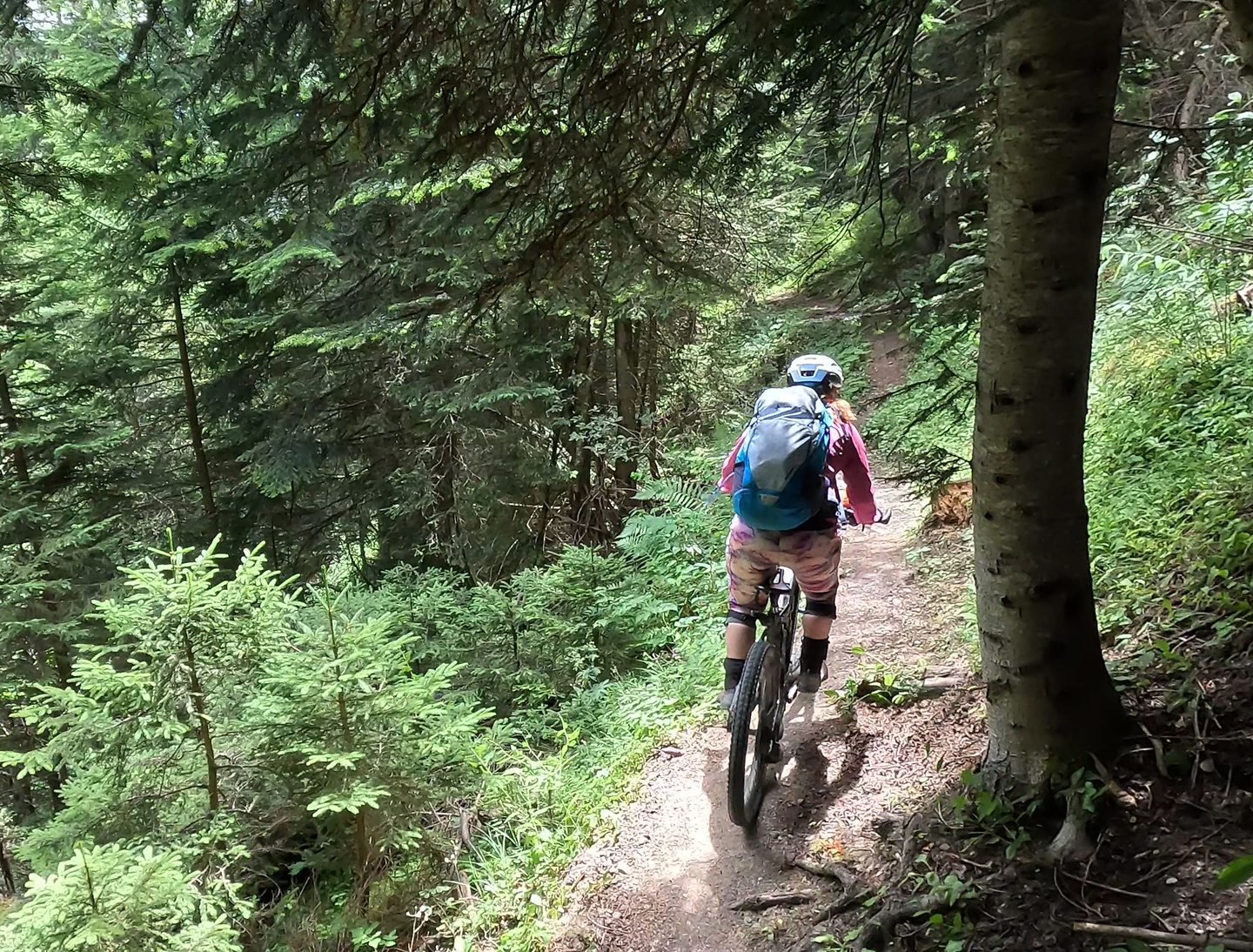 areche-trail7.jpg