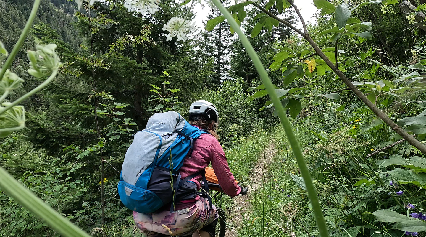 areche-trail8.jpg