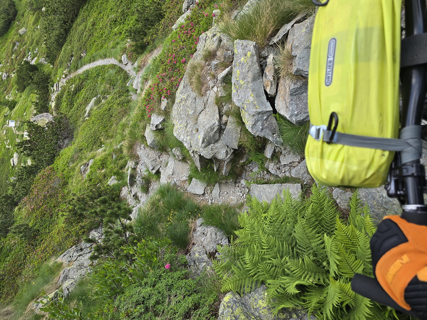 avaro-trail4.jpg