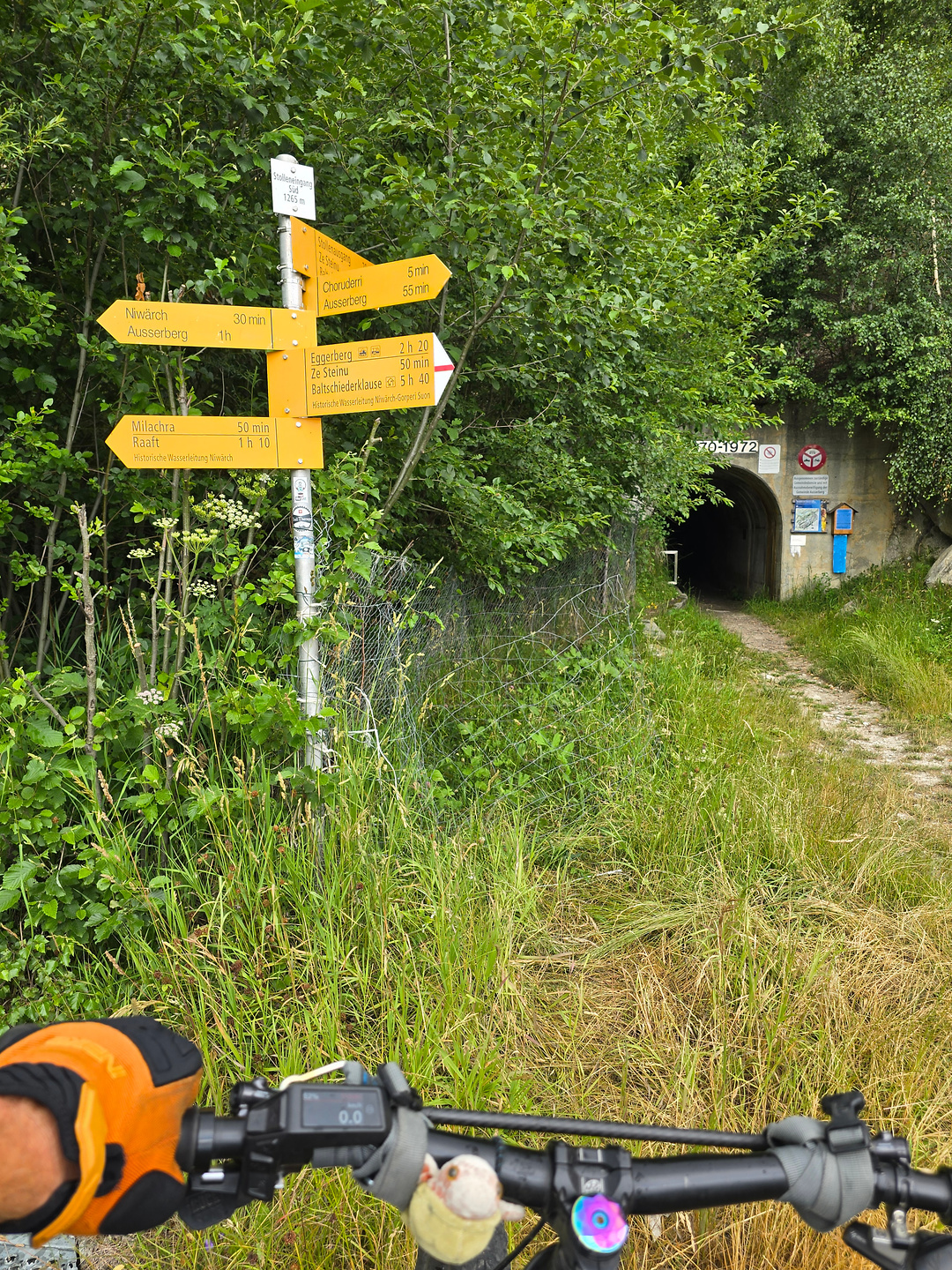 baltschied-trail1.jpg