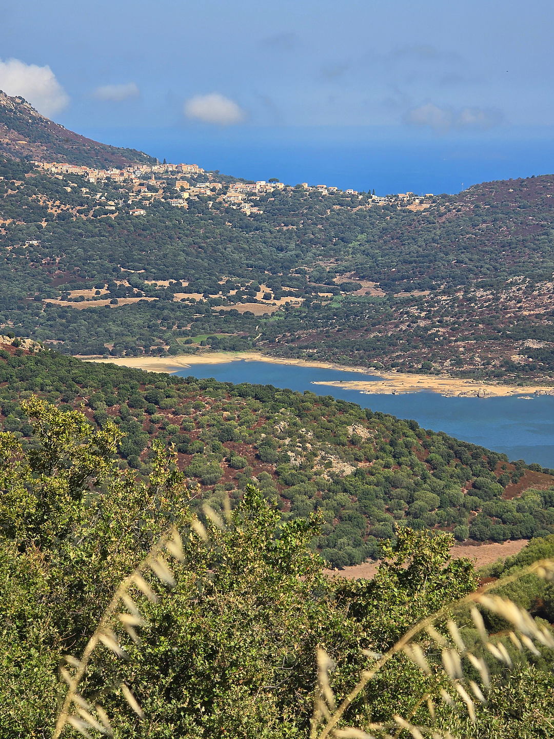 battaglia-uphill1.jpg