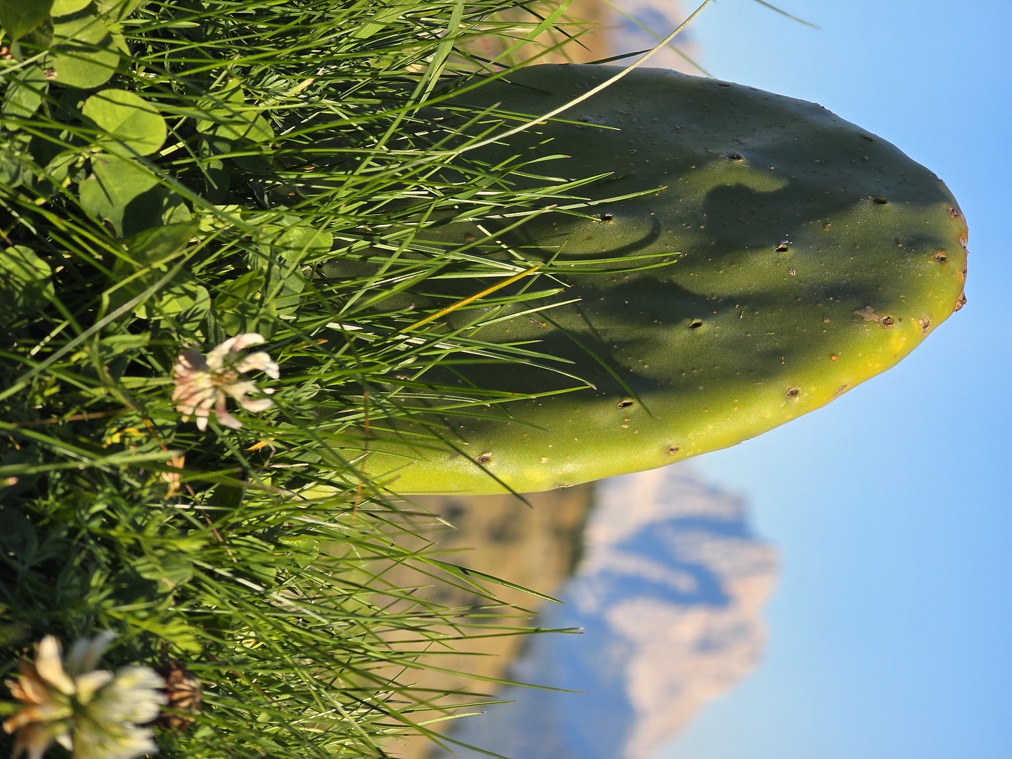 becderoces-rifugio10.jpg