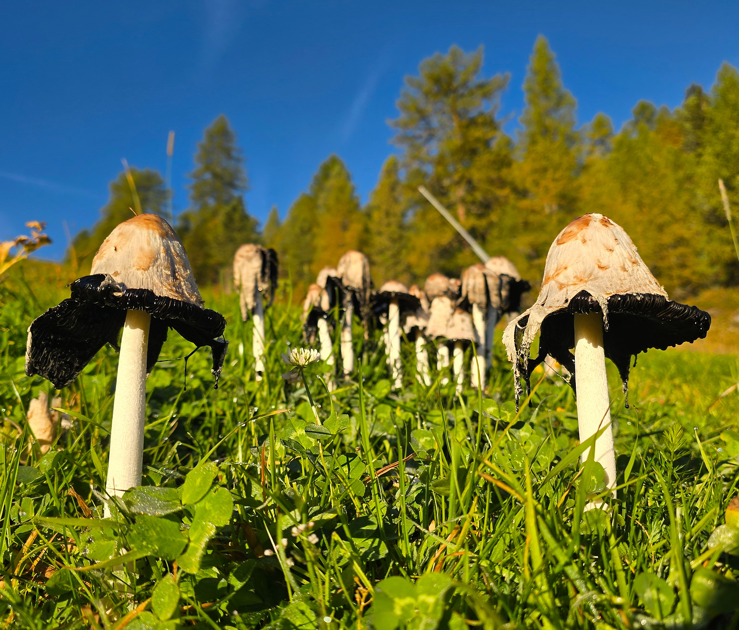 becderoces-rifugio24.jpg