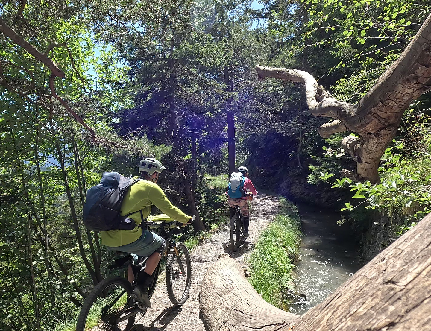 bisseayent-trail10.jpg