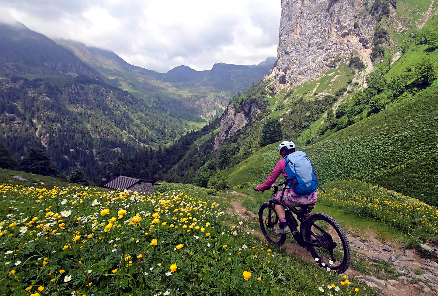 branchino-trail7.jpg