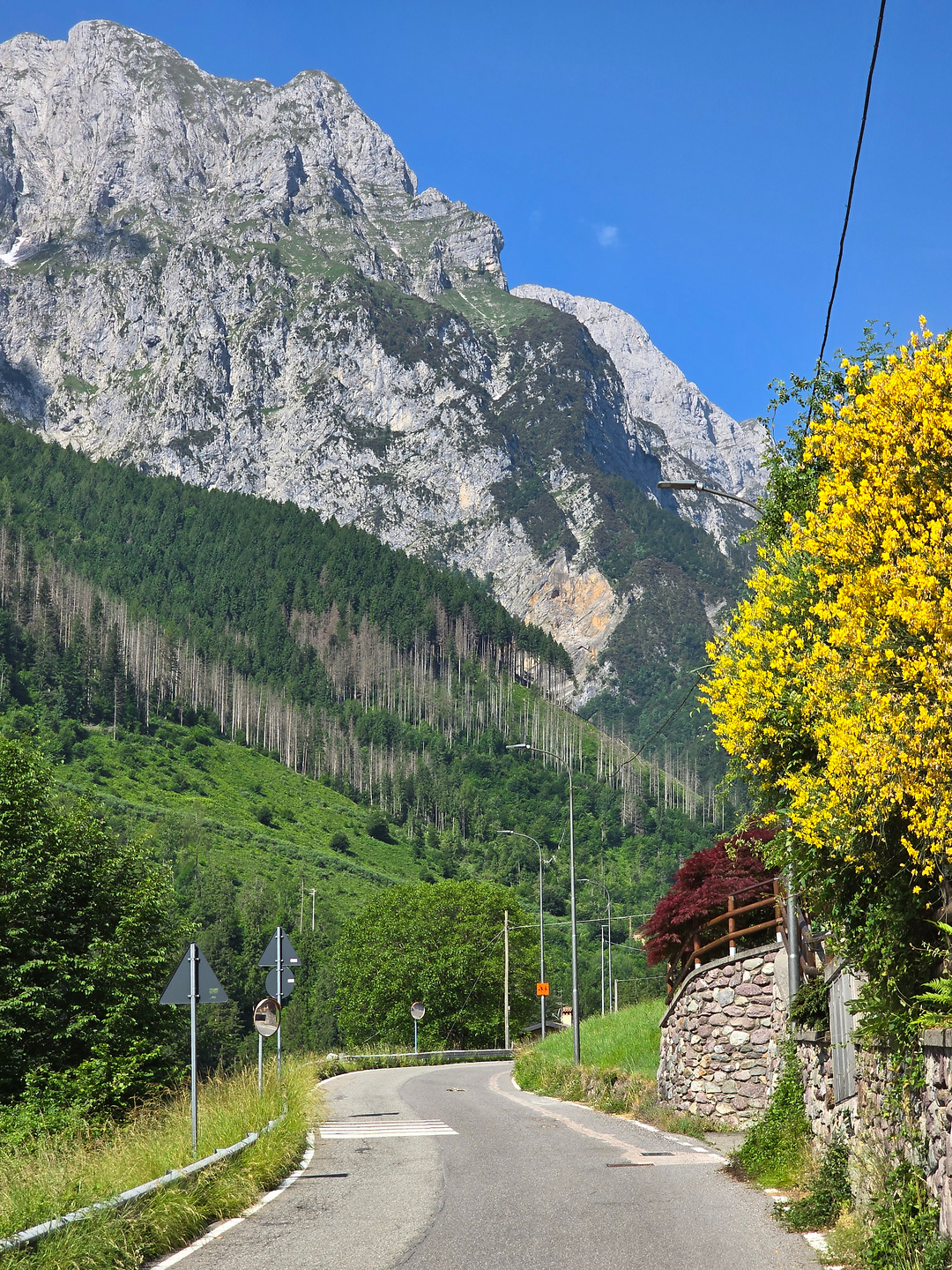 branchino-uphill2.jpg