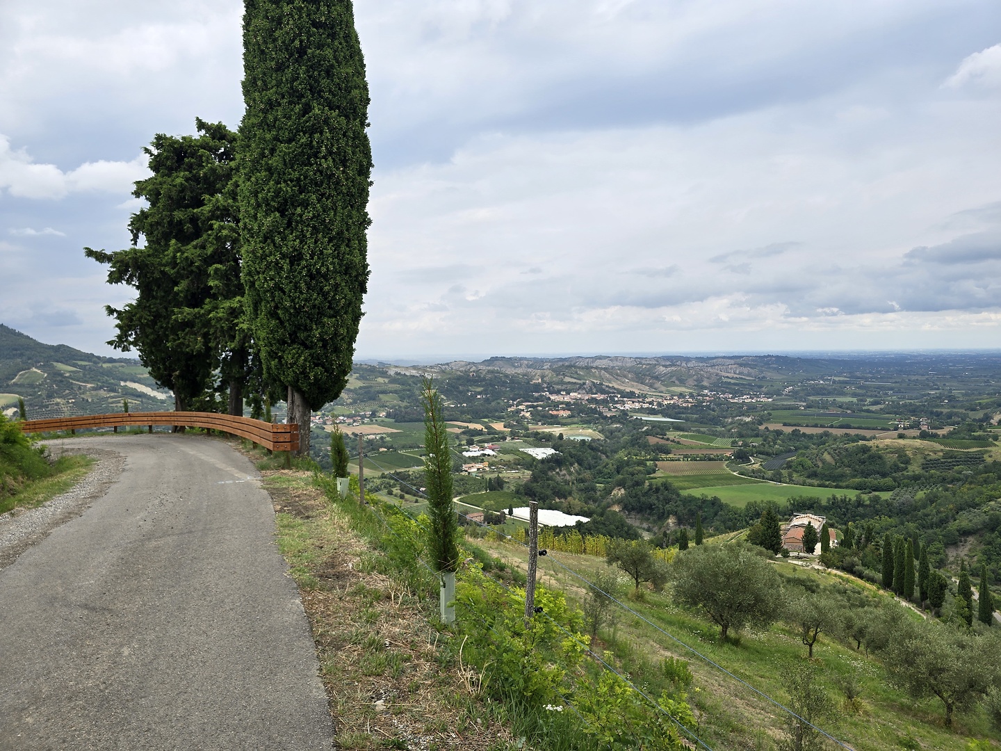 brisighella-road1.jpg