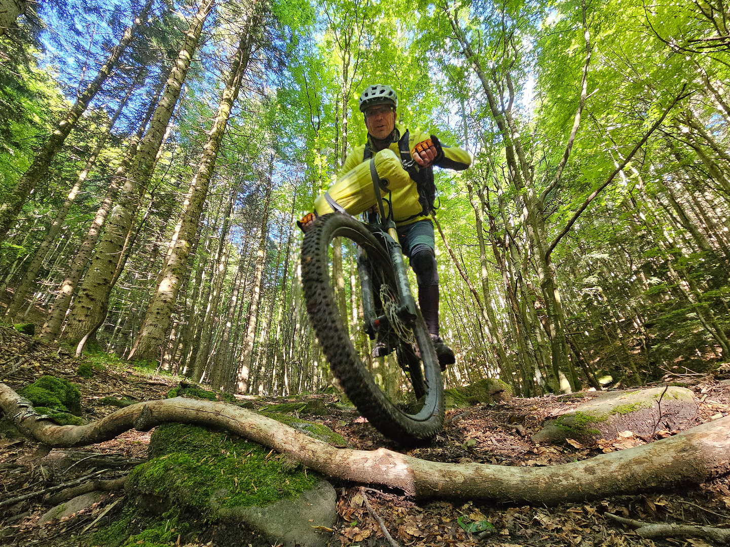 cancellino-trail10.jpg
