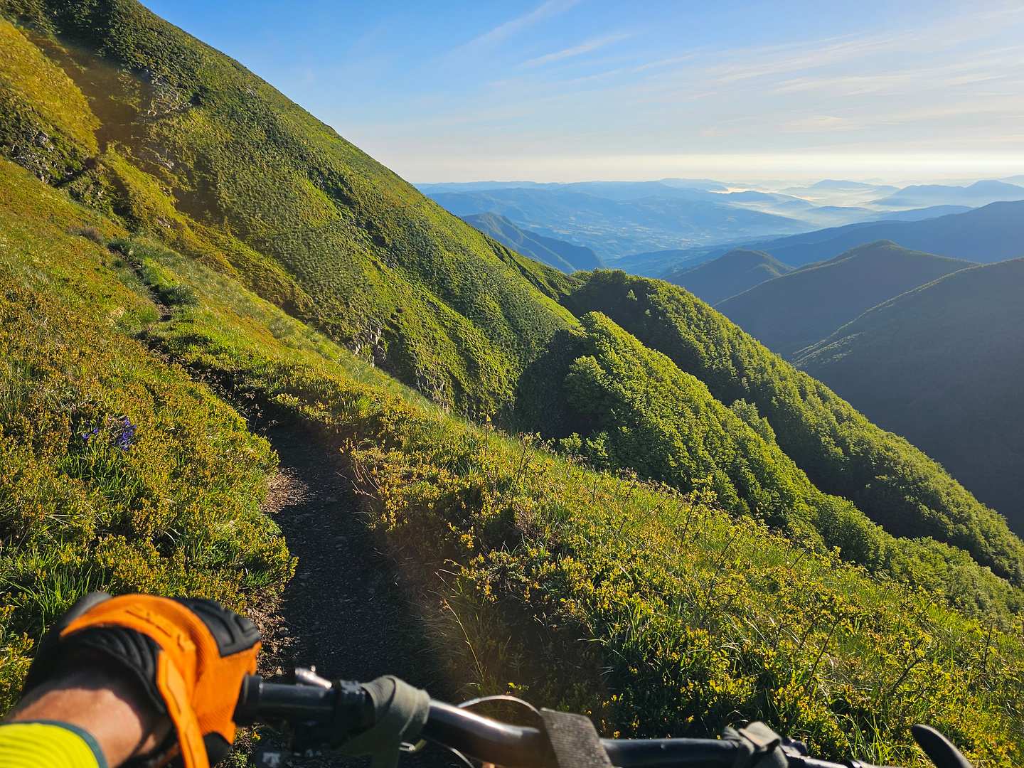 cancellino-trail2.jpg