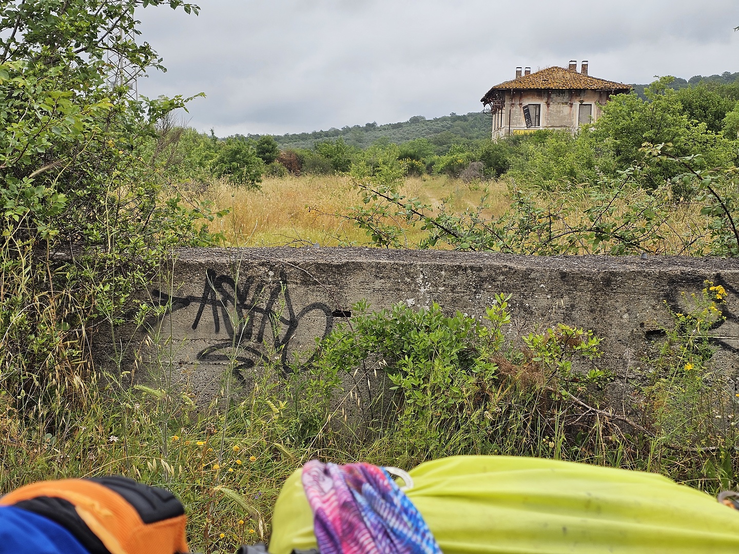 capranica-road1.jpg