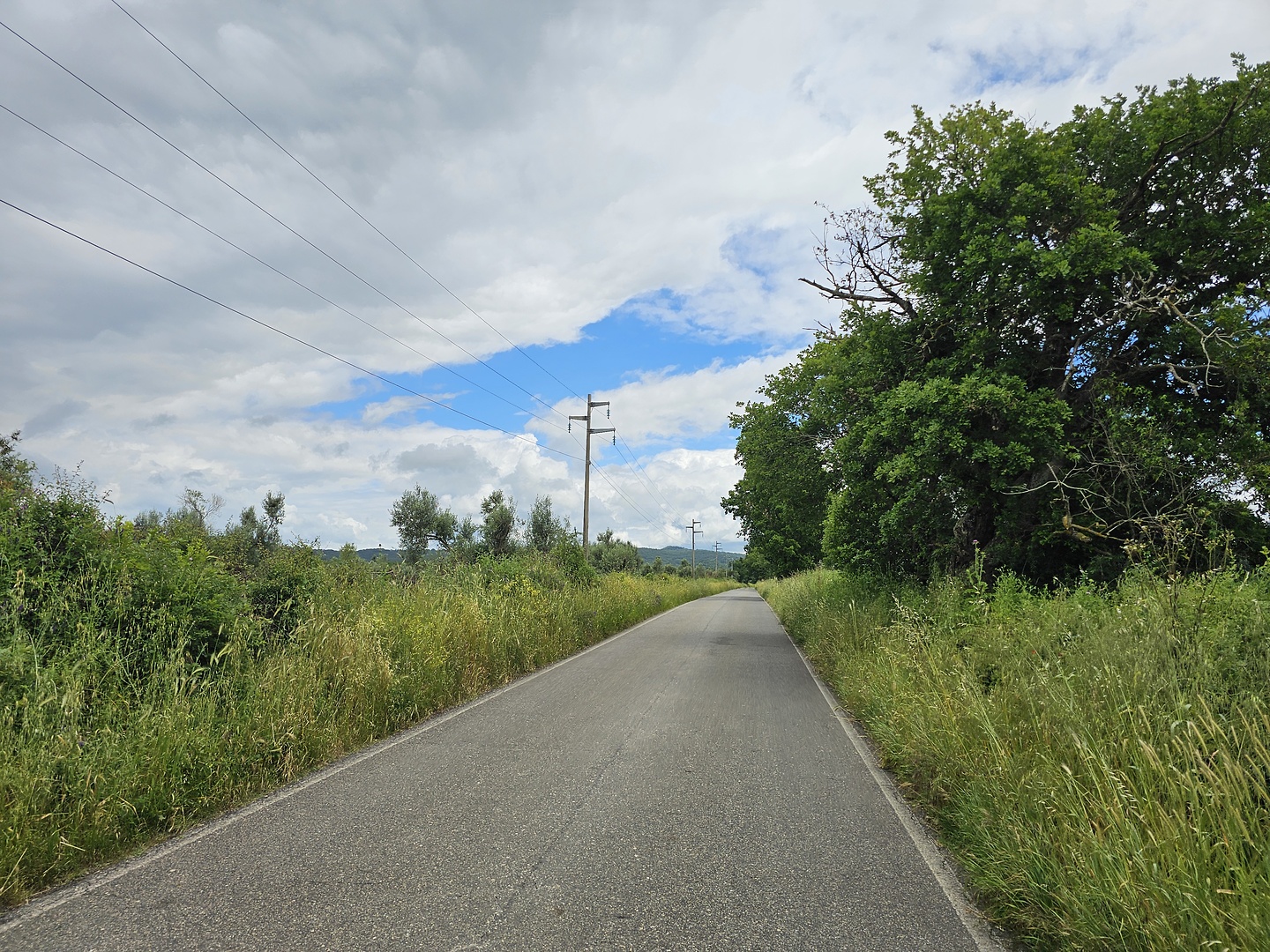 capranica-road13.jpg