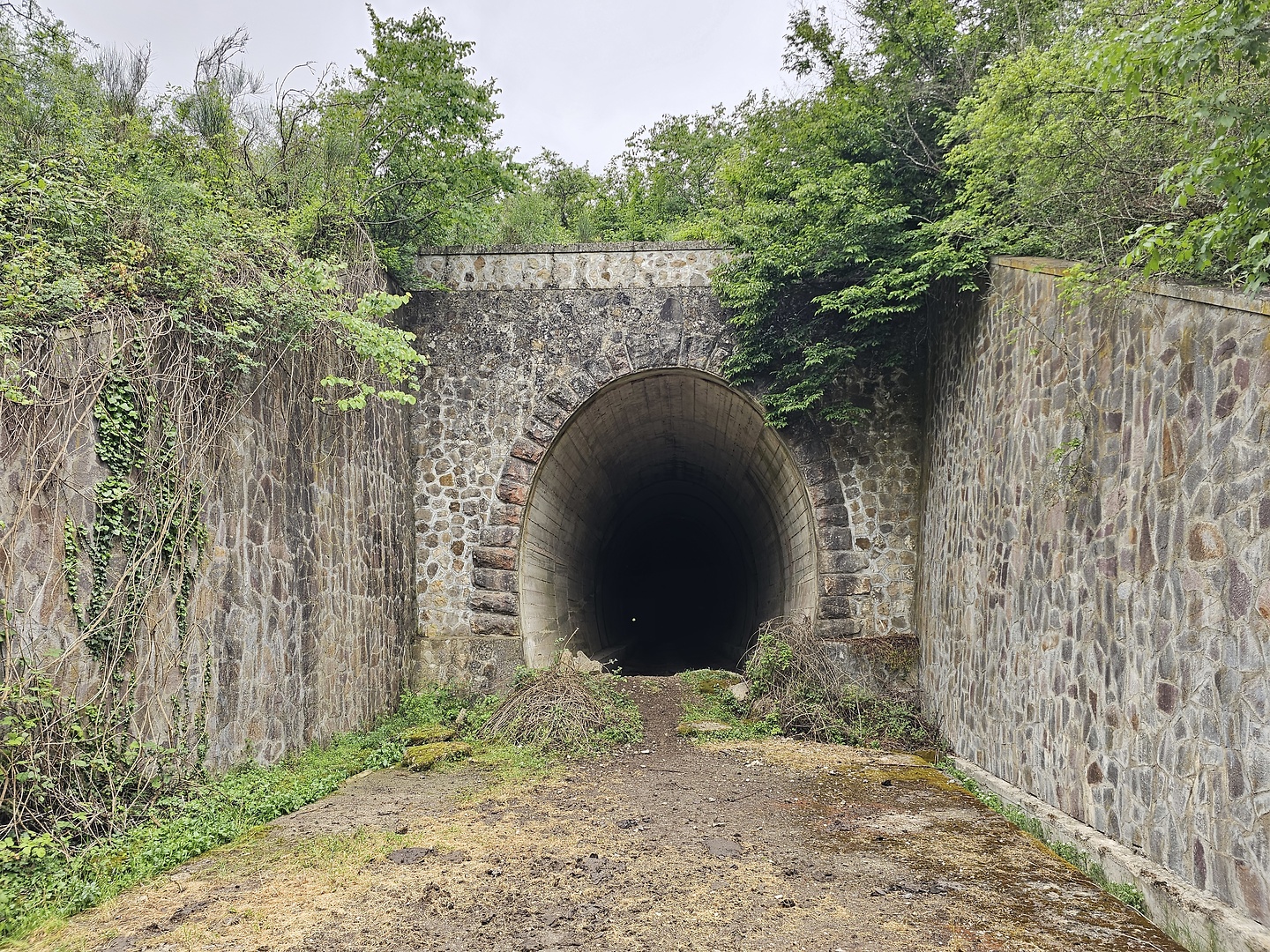 capranica-road6.jpg