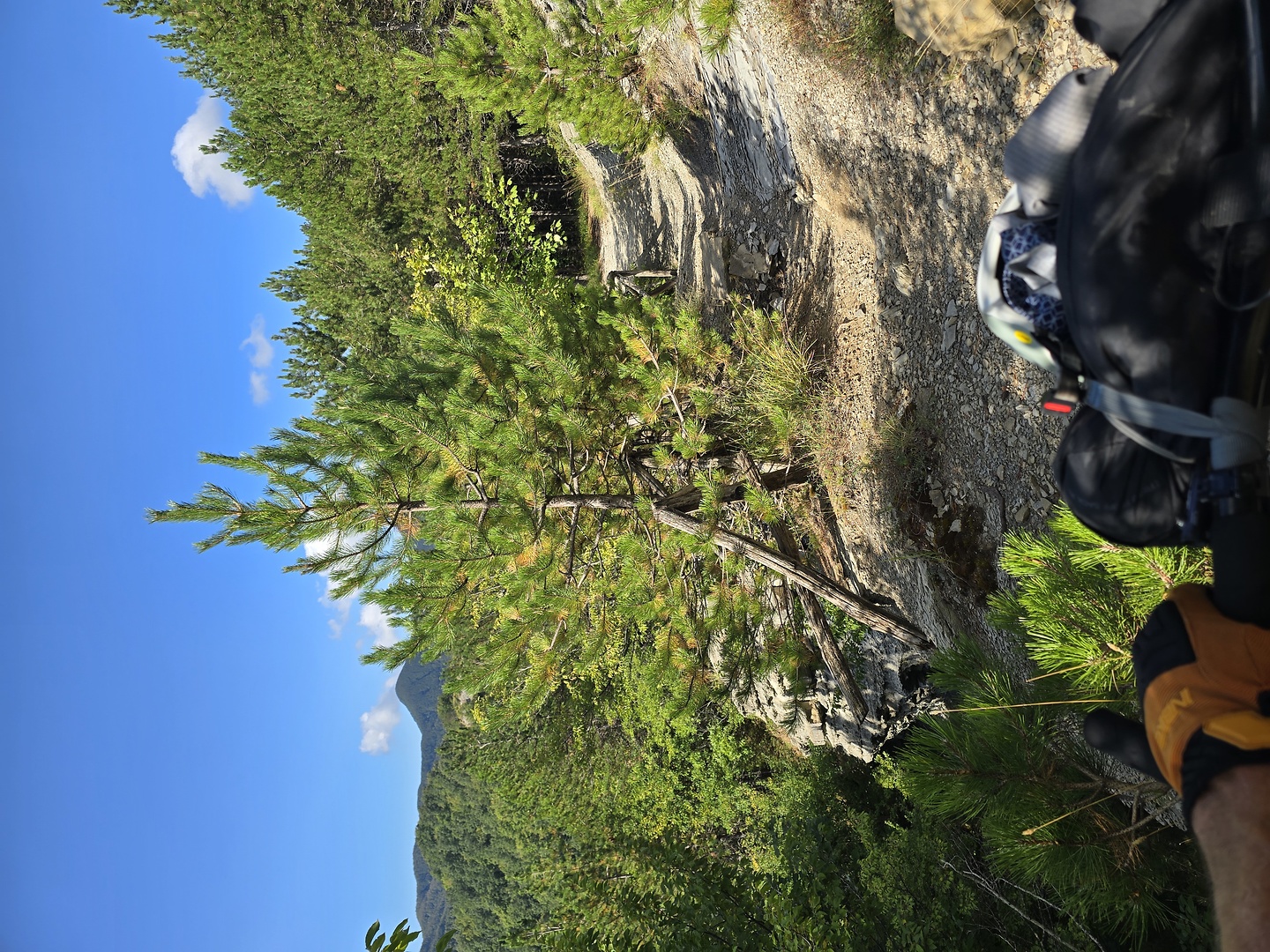 carpano-trail1.jpg