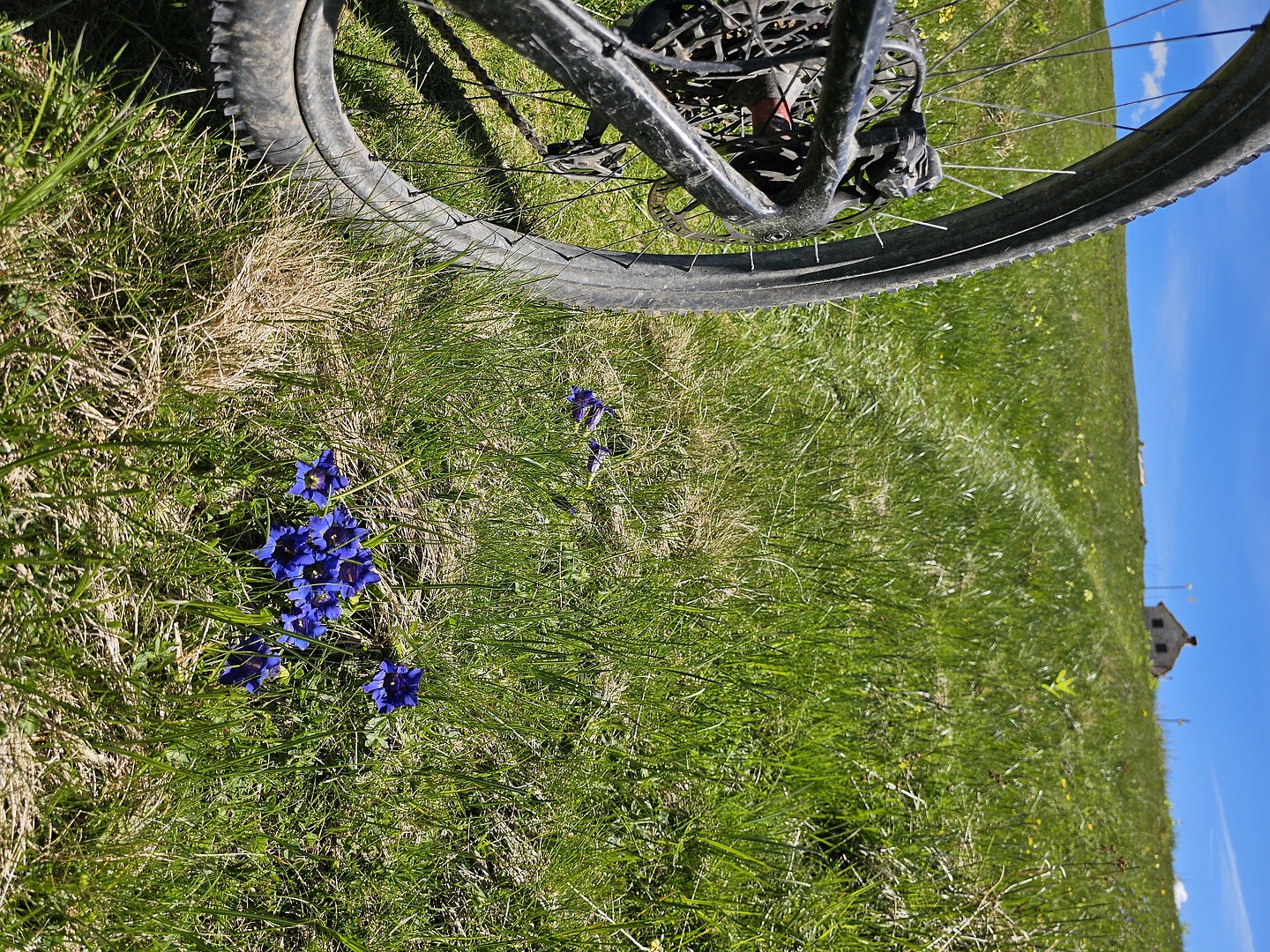castelberto-trail3.jpg