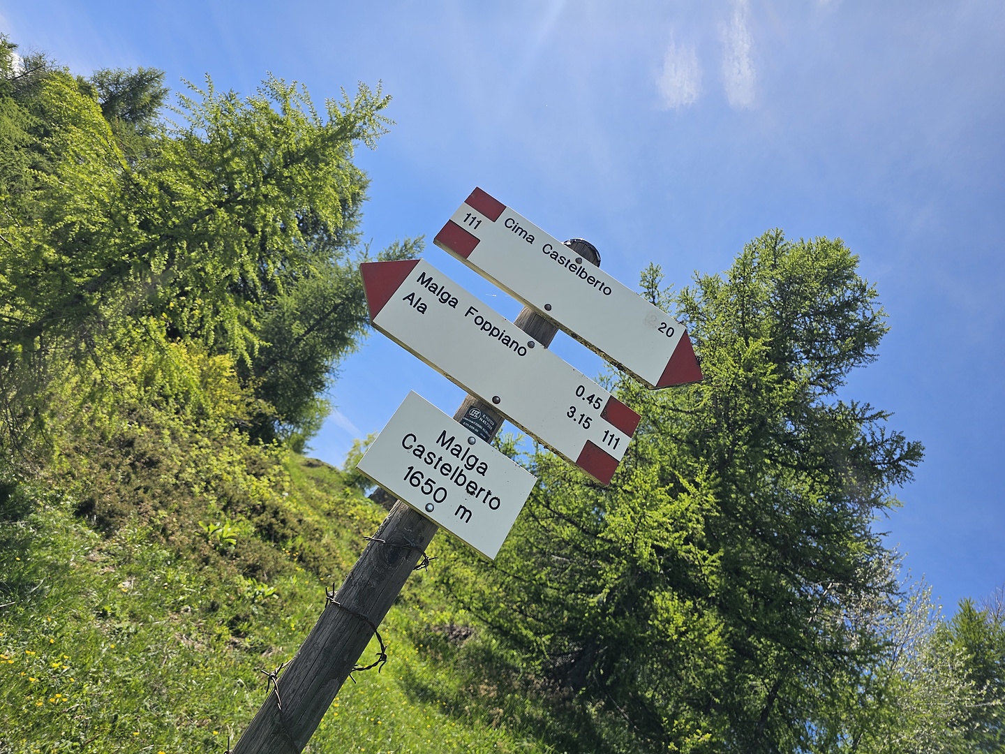 castelberto-trail4.jpg