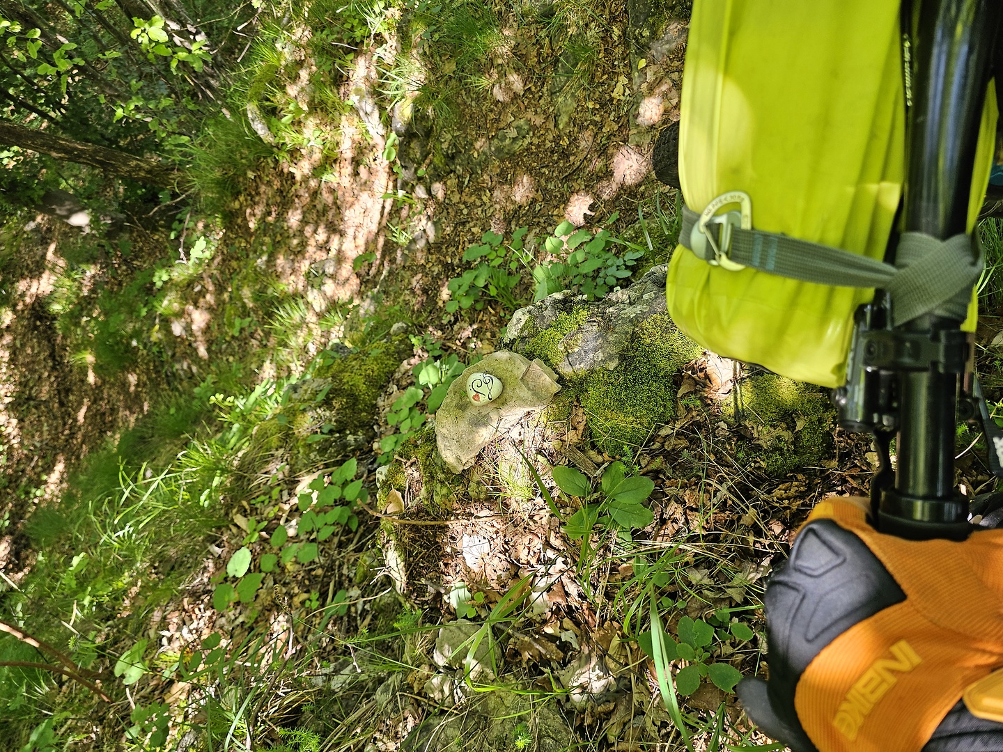 castelberto-trail7.jpg