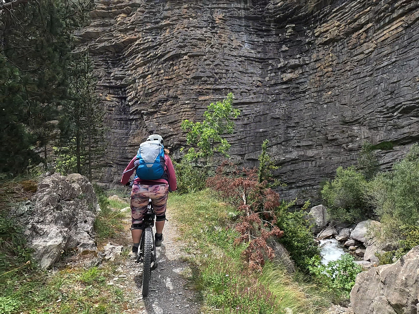 cayolle-trail4.jpg